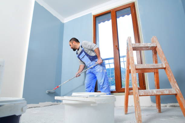 Reliable Myrtle Beach, SC Mold Removal Solutions
