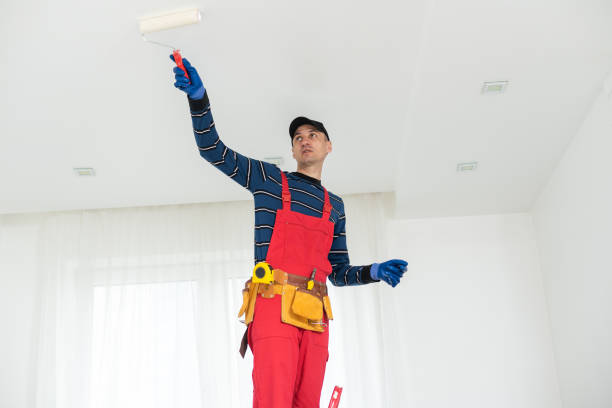 Best Black Mold Removal  in Myrtle Beach, SC
