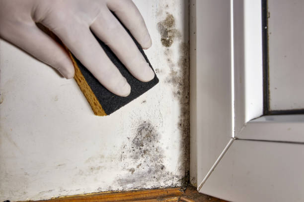 Dehumidification Services in Myrtle Beach, SC