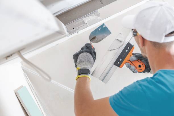 Best Residential Mold Inspection & Testing  in Myrtle Beach, SC